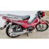 Forza Motocycle Maxi First 107CC
